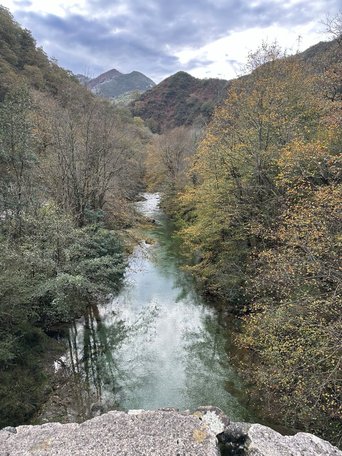 Scenic river view